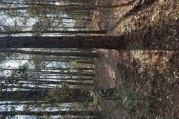 0 Warrior Drive photo 4