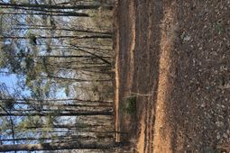 0 Warrior Drive photo 4