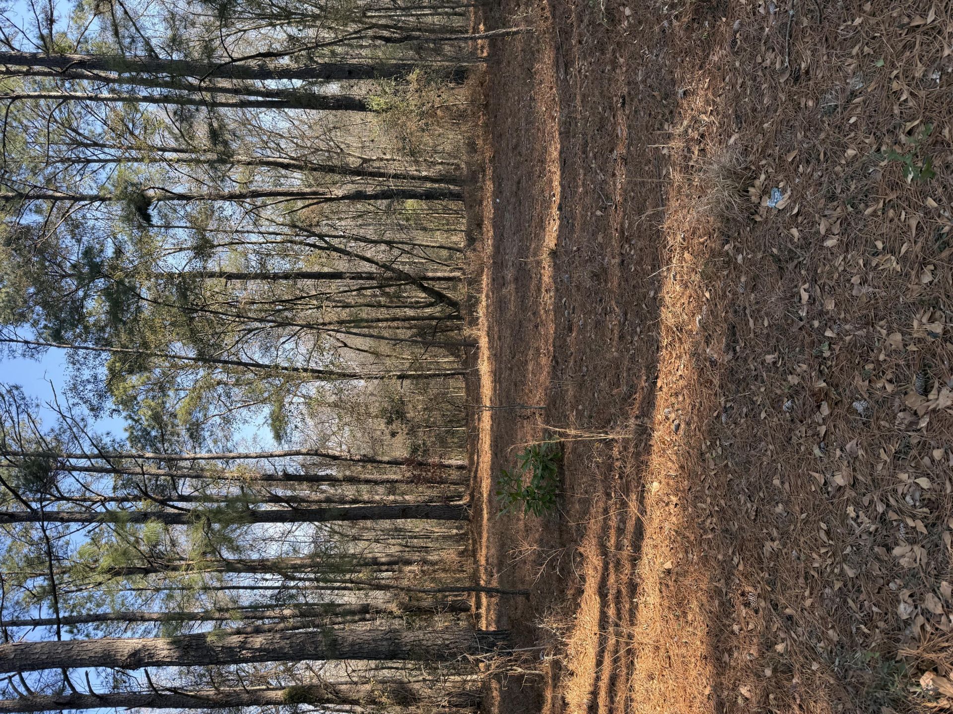 0 Warrior Road Photo 11