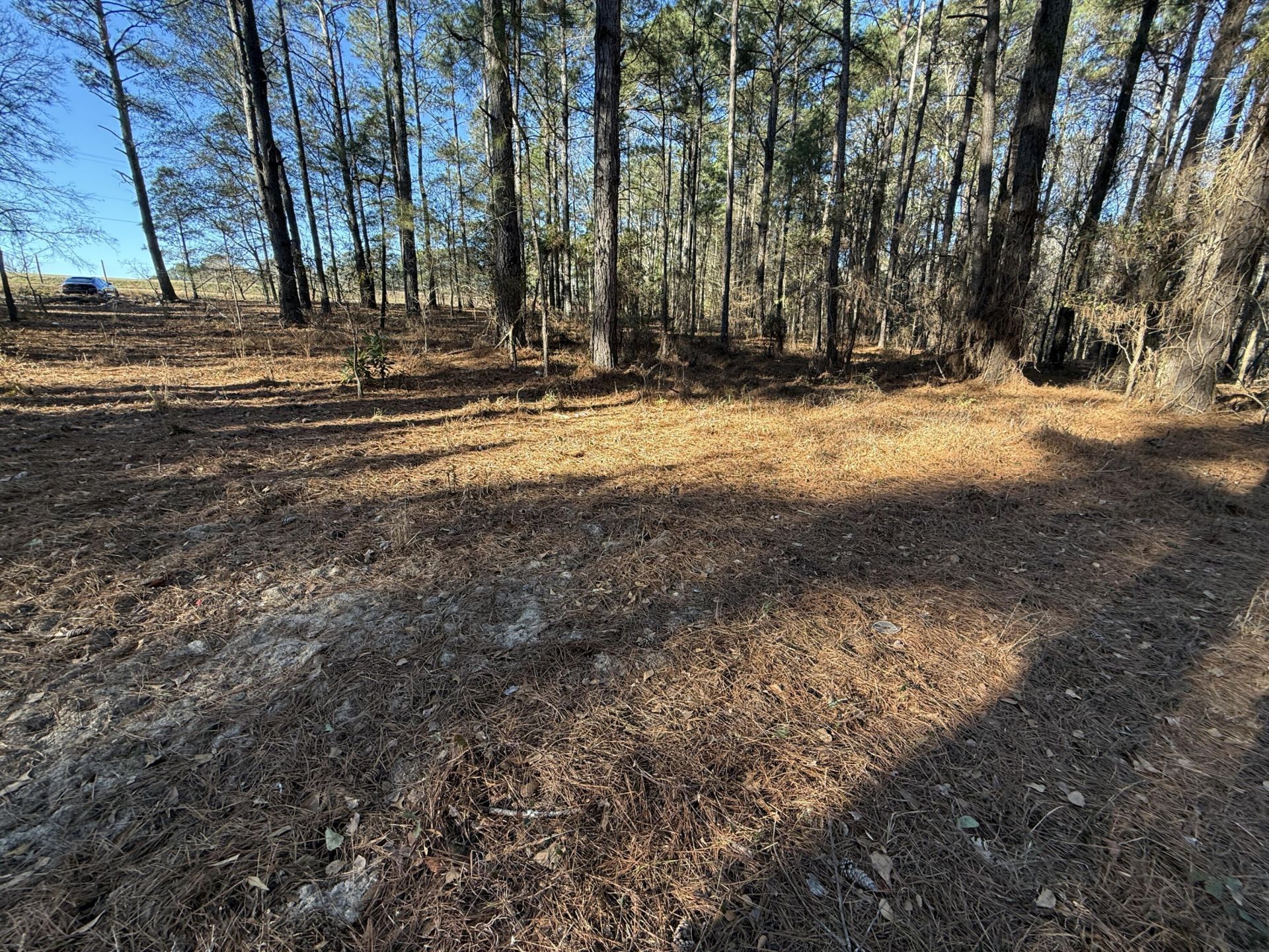 0 Warrior Road Photo 12