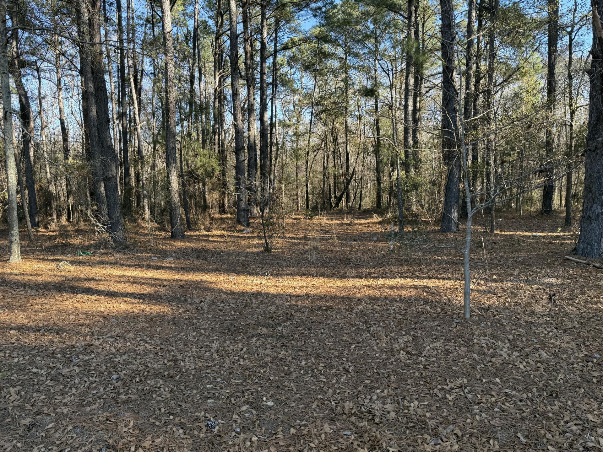 0 Warrior Road Photo 13