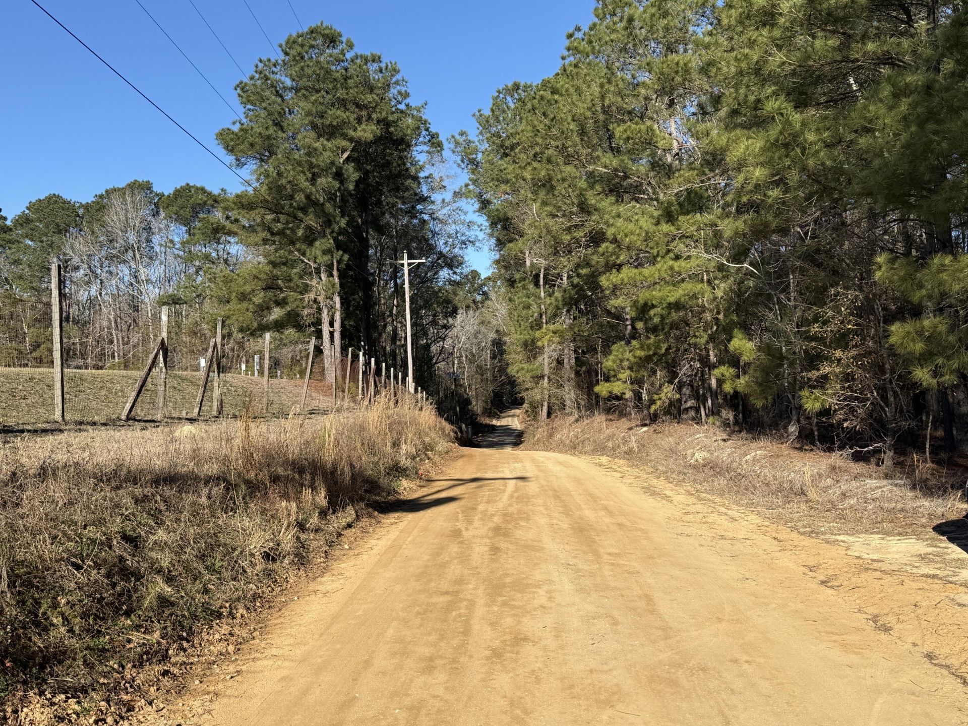 0 Warrior Road Photo 5