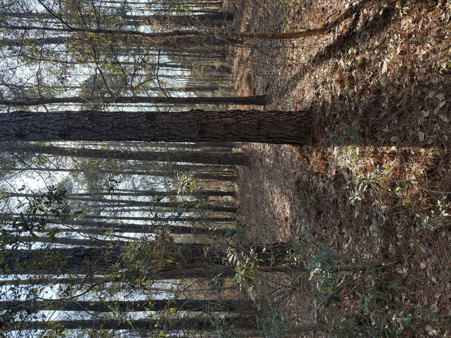 0 Warrior Road Photo 6