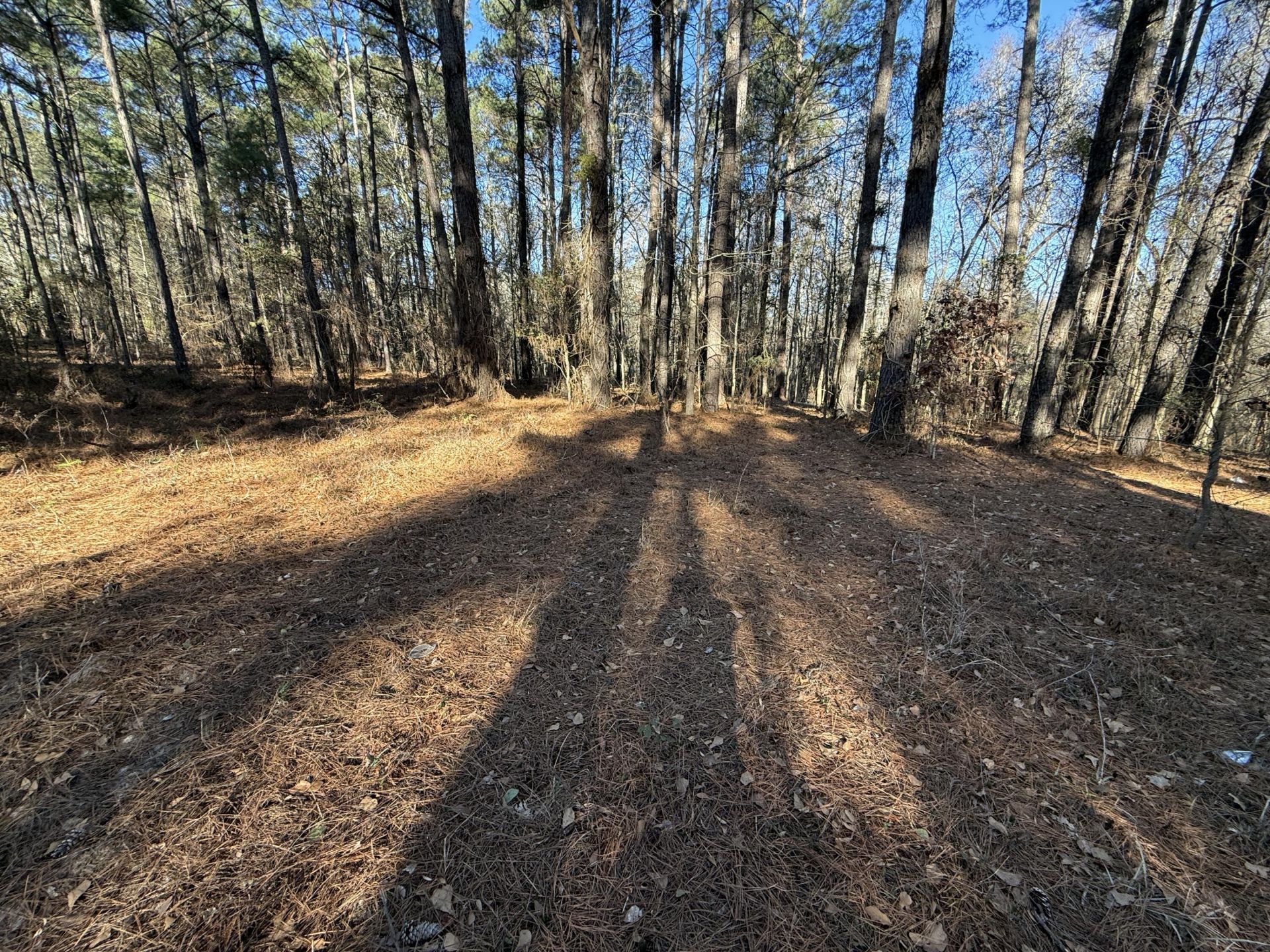 0 Warrior Road Photo 8