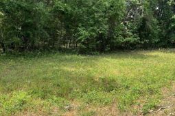 00 S Michelle Street photo 4