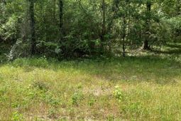 00 S Michelle Street photo 4