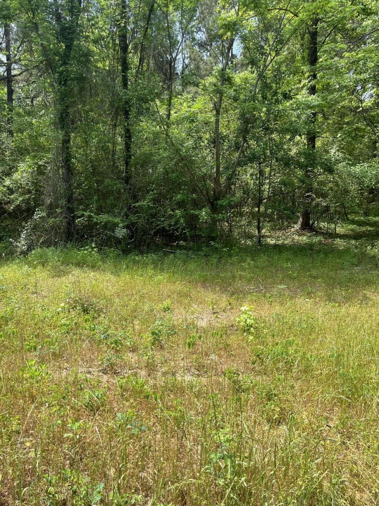 00 S Michelle Street Photo 6