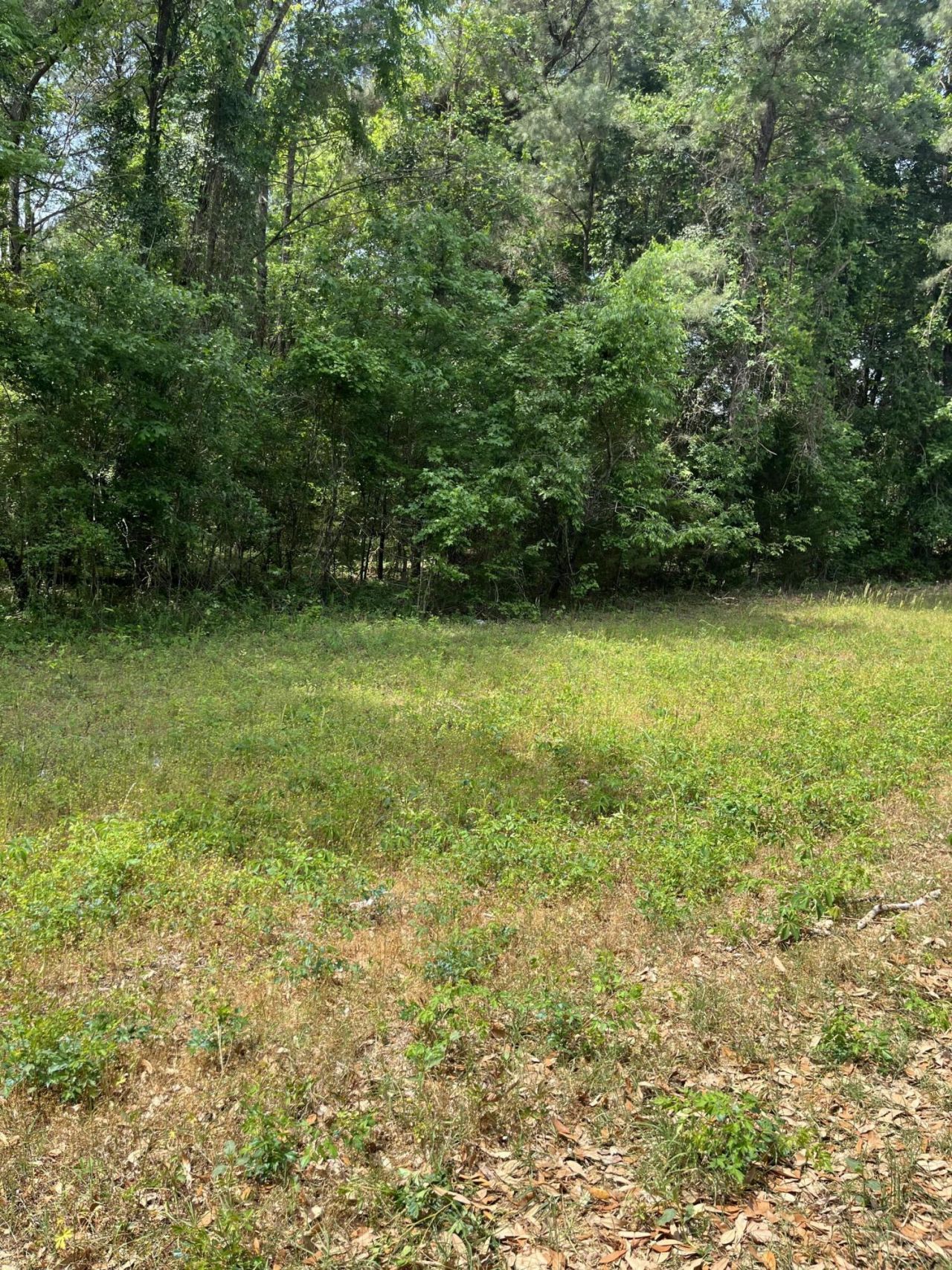 00 S Michelle Street Photo 7