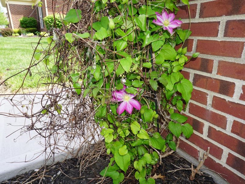 5783 Burke, Unit # 1101, New Albany, OH 43054 Photo 12