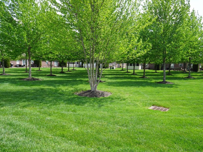 5783 Burke, Unit # 1101, New Albany, OH 43054 Photo 20