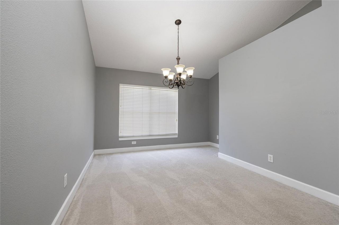 219 Bay Arbor Boulevard, Oldsmar, FL 34677 Photo