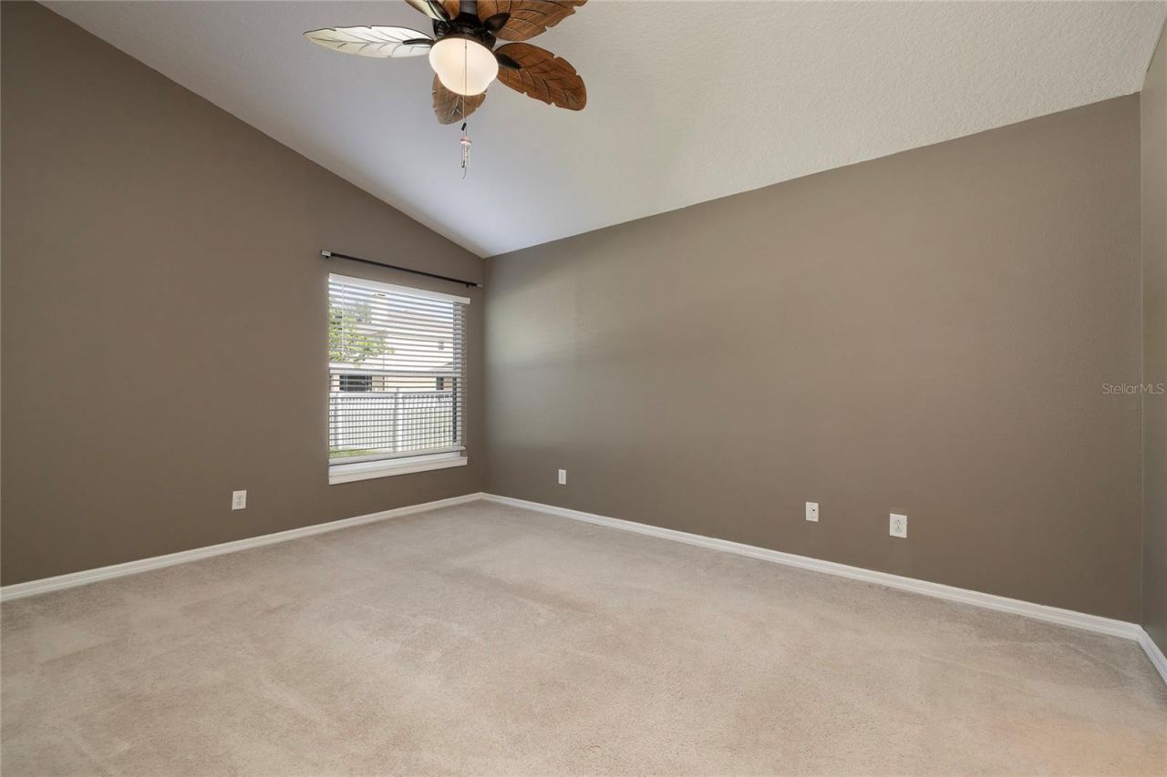 219 Bay Arbor Boulevard, Oldsmar, FL 34677 Photo