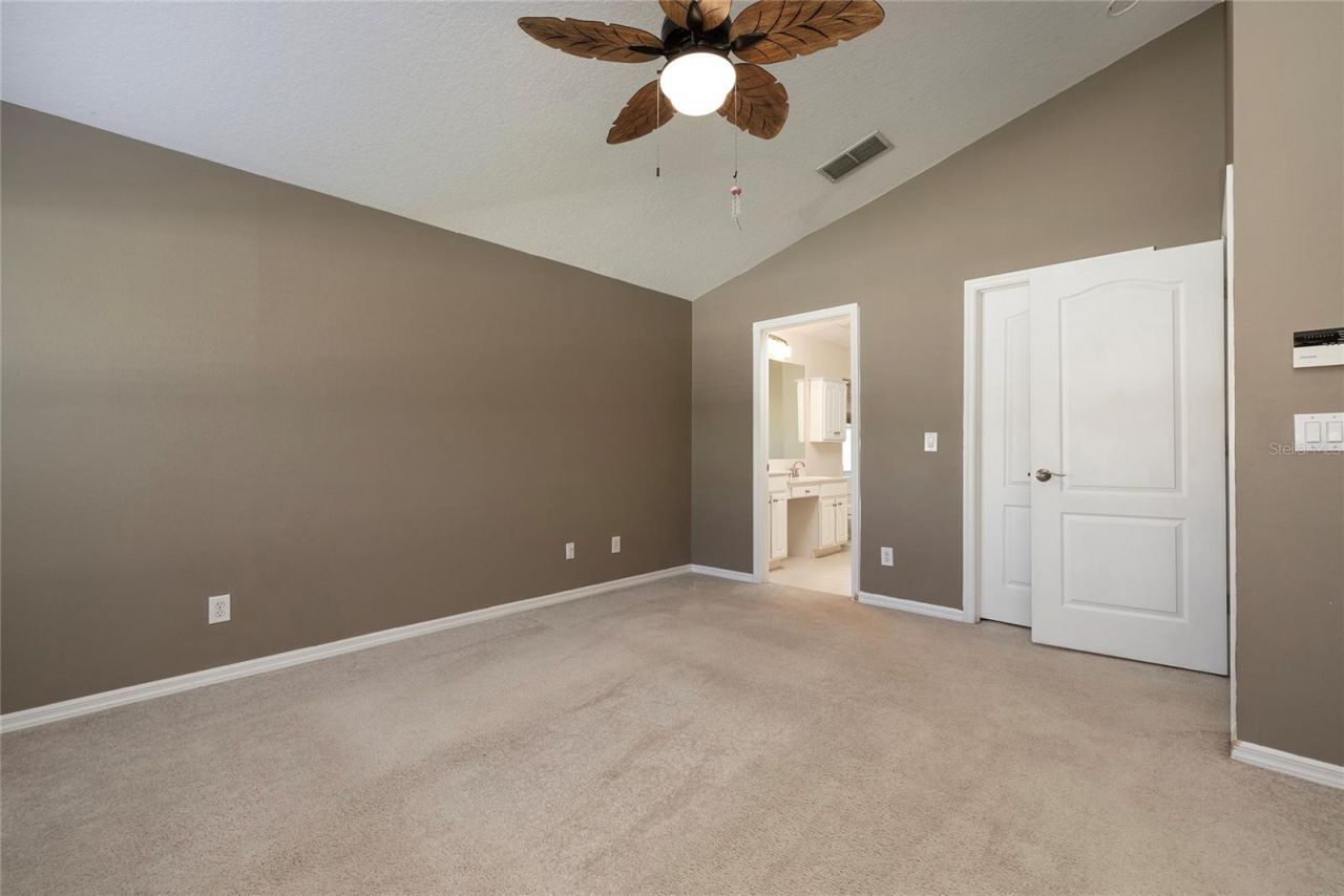 219 Bay Arbor Boulevard, Oldsmar, FL 34677 Photo