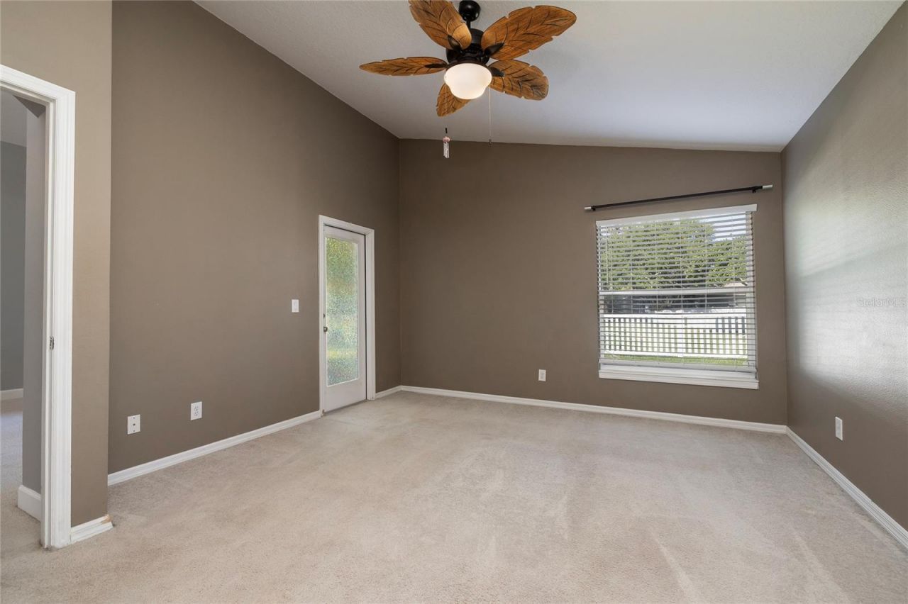 219 Bay Arbor Boulevard, Oldsmar, FL 34677 Photo