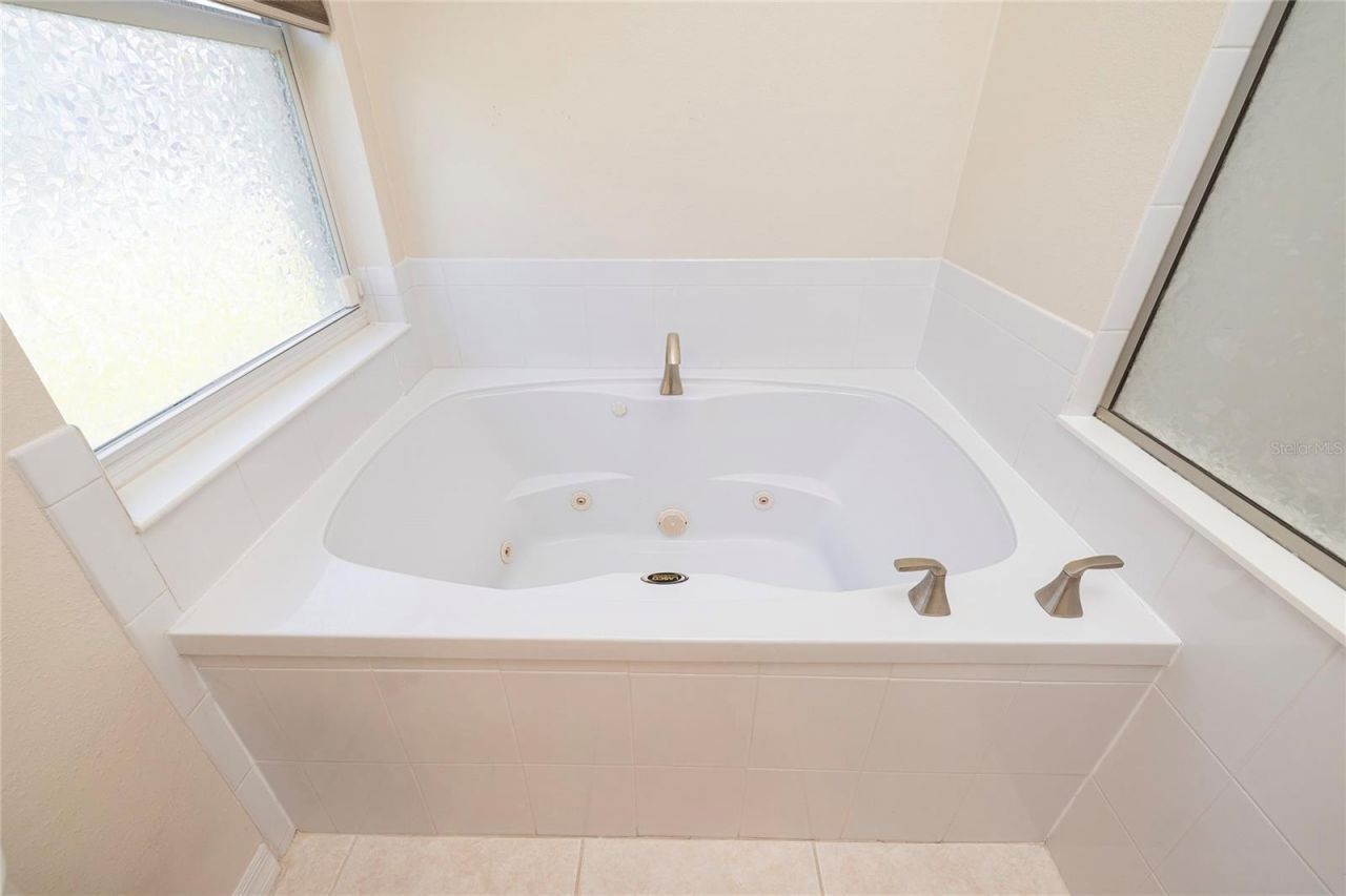 219 Bay Arbor Boulevard, Oldsmar, FL 34677 Photo
