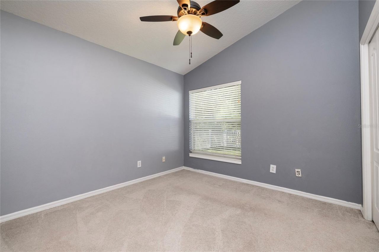 219 Bay Arbor Boulevard, Oldsmar, FL 34677 Photo
