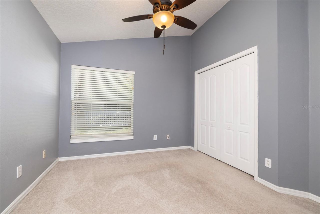 219 Bay Arbor Boulevard, Oldsmar, FL 34677 Photo
