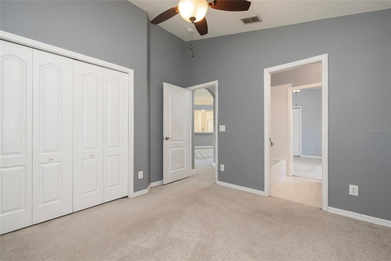 219 Bay Arbor Boulevard, Oldsmar, FL 34677 Photo