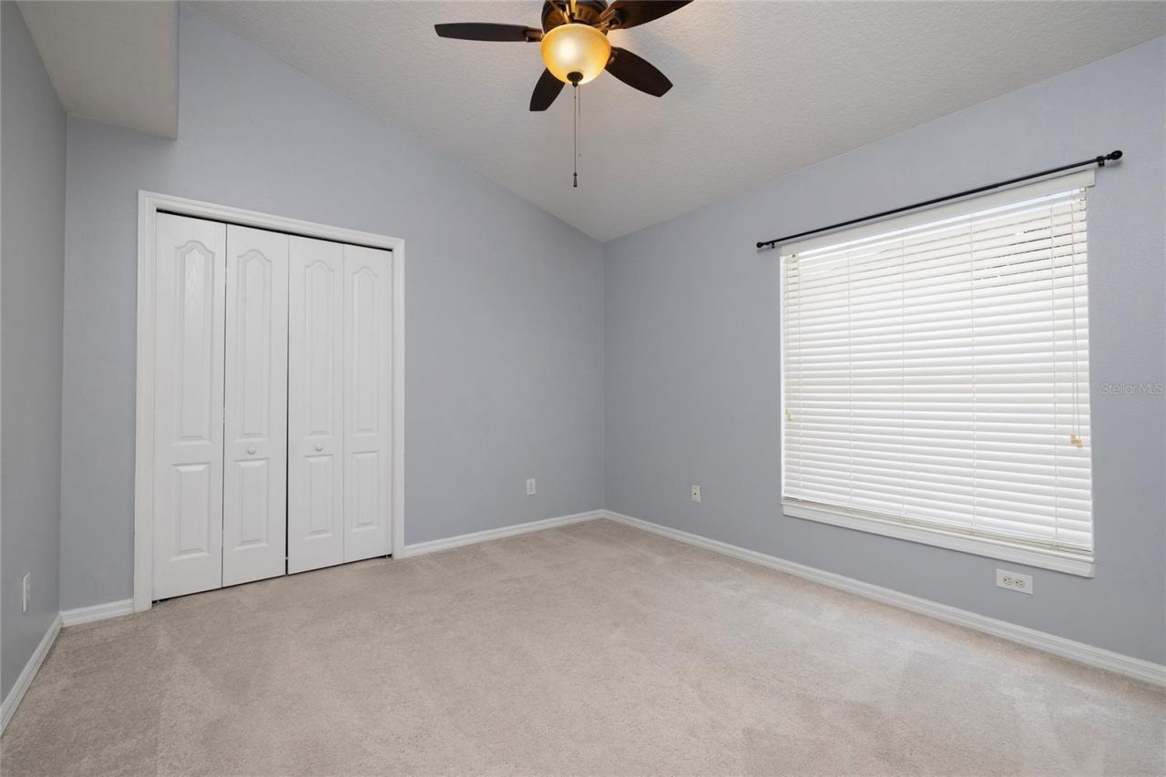 219 Bay Arbor Boulevard, Oldsmar, FL 34677 Photo