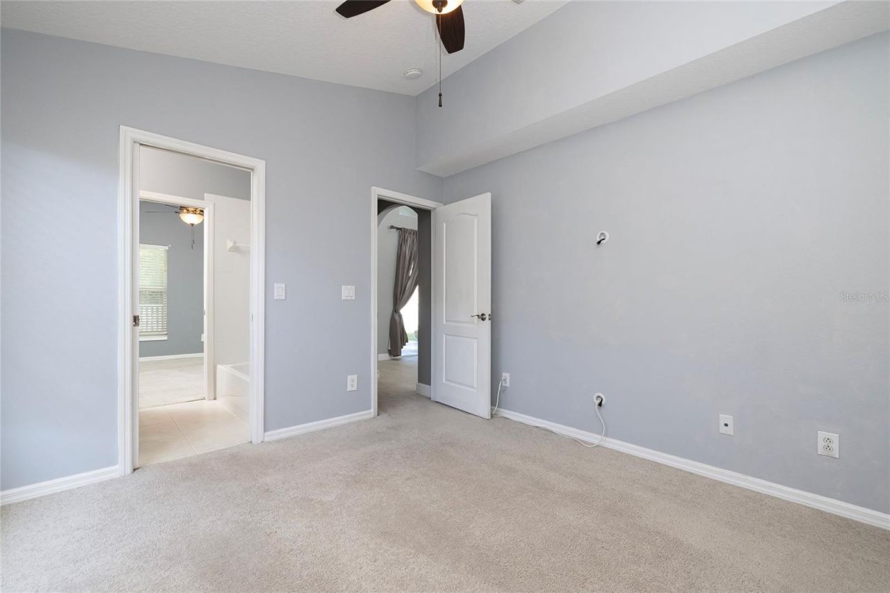 219 Bay Arbor Boulevard, Oldsmar, FL 34677 Photo