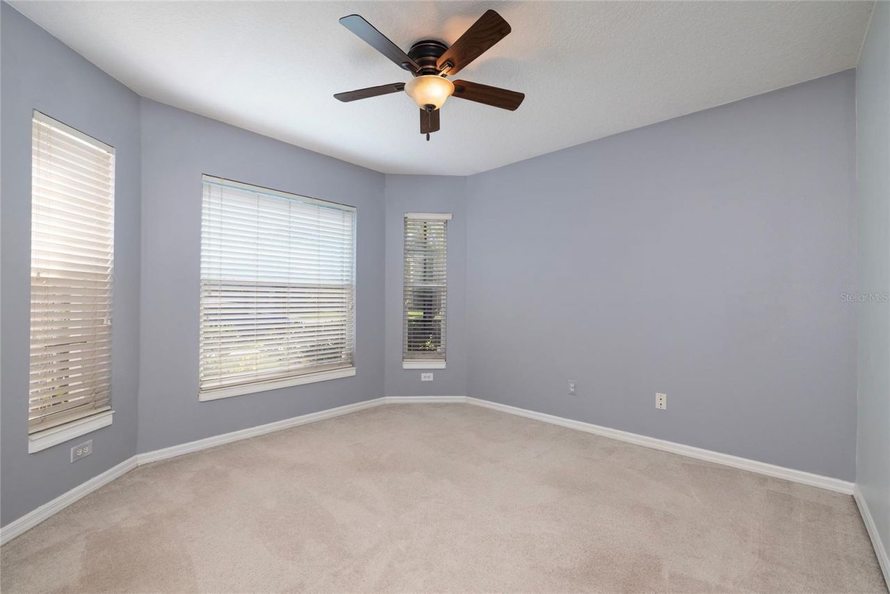 219 Bay Arbor Boulevard, Oldsmar, FL 34677 Photo
