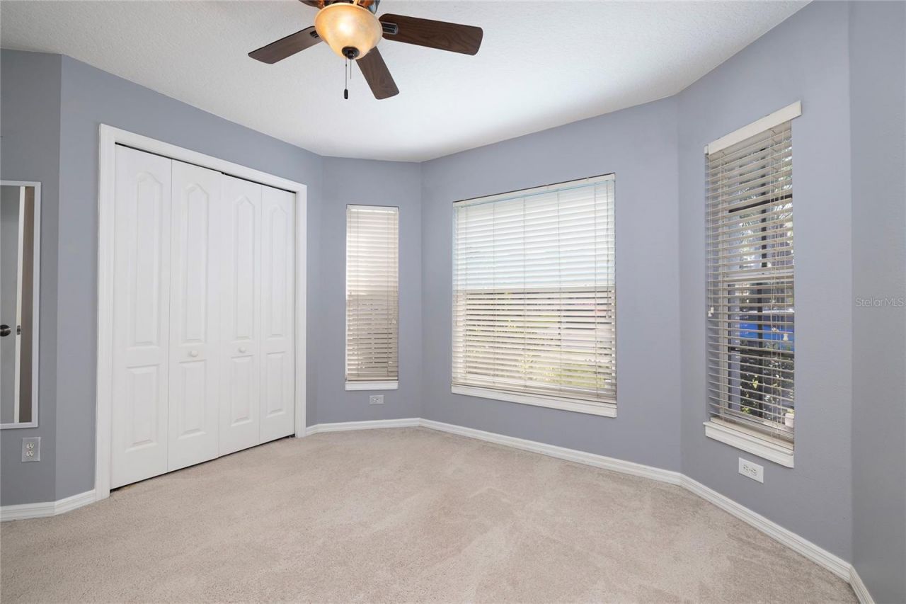 219 Bay Arbor Boulevard, Oldsmar, FL 34677 Photo