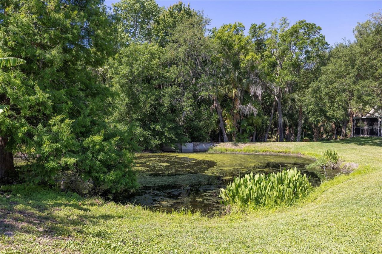 219 Bay Arbor Boulevard, Oldsmar, FL 34677 Photo