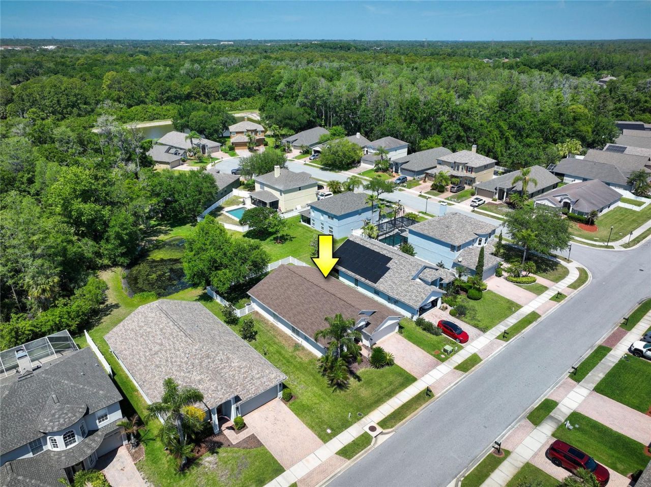 219 Bay Arbor Boulevard, Oldsmar, FL 34677 Photo