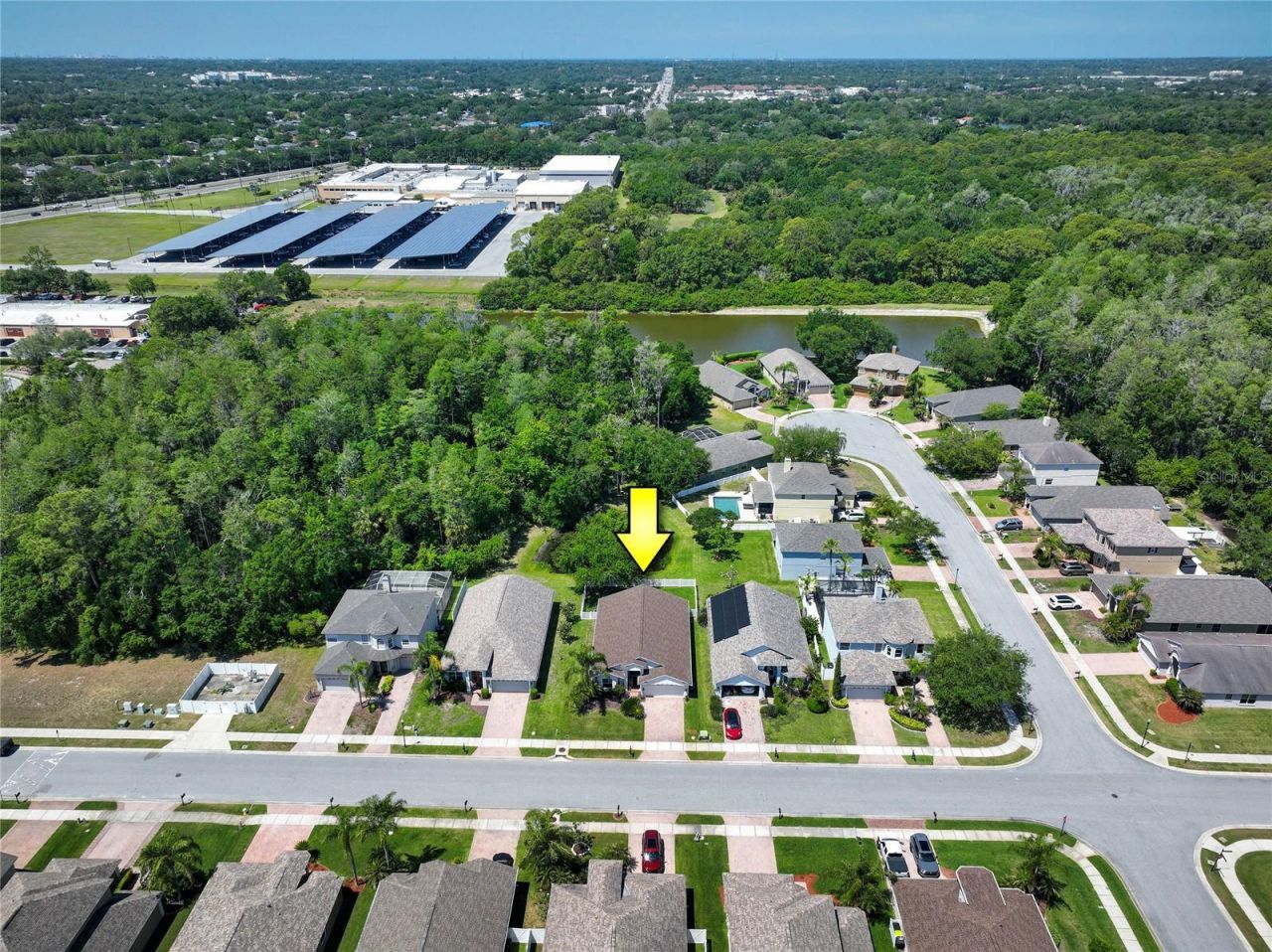 219 Bay Arbor Boulevard, Oldsmar, FL 34677 Photo