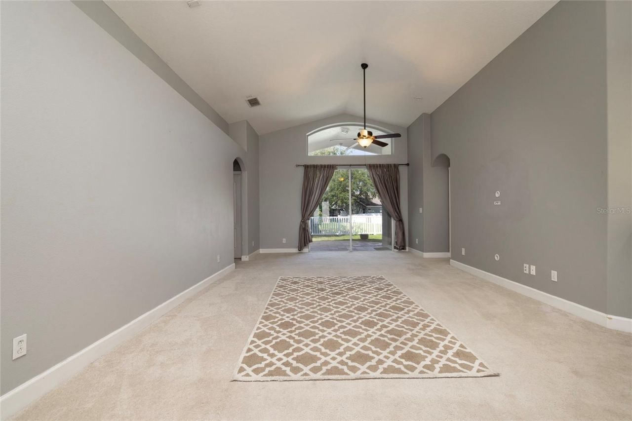 219 Bay Arbor Boulevard, Oldsmar, FL 34677 Photo