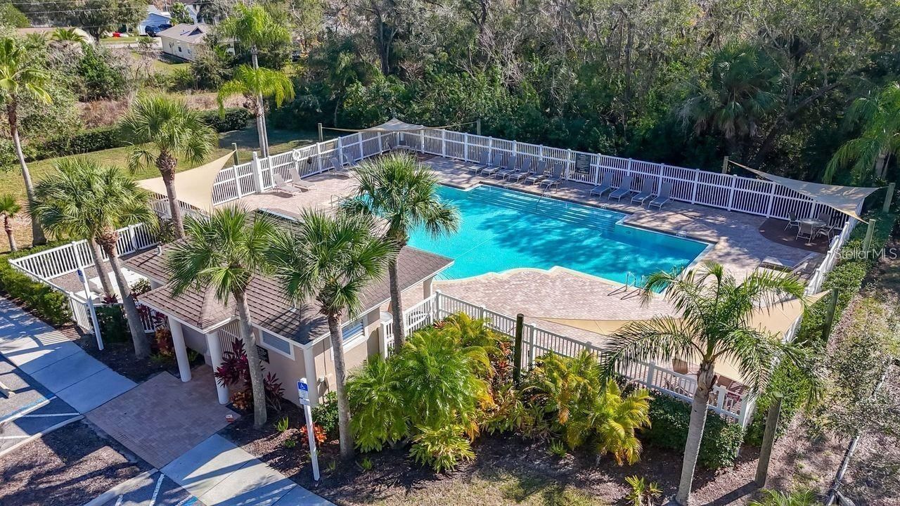 219 Bay Arbor Boulevard, Oldsmar, FL 34677 Photo