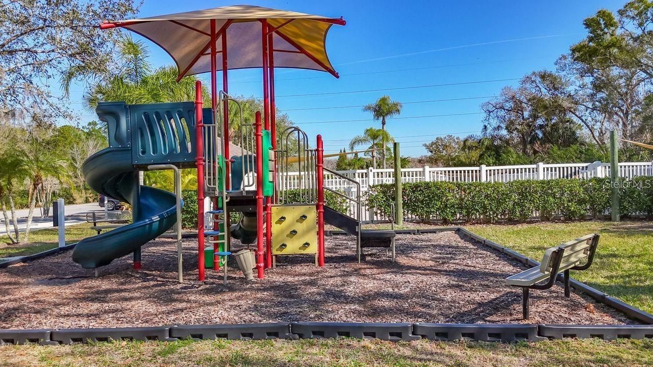 219 Bay Arbor Boulevard, Oldsmar, FL 34677 Photo