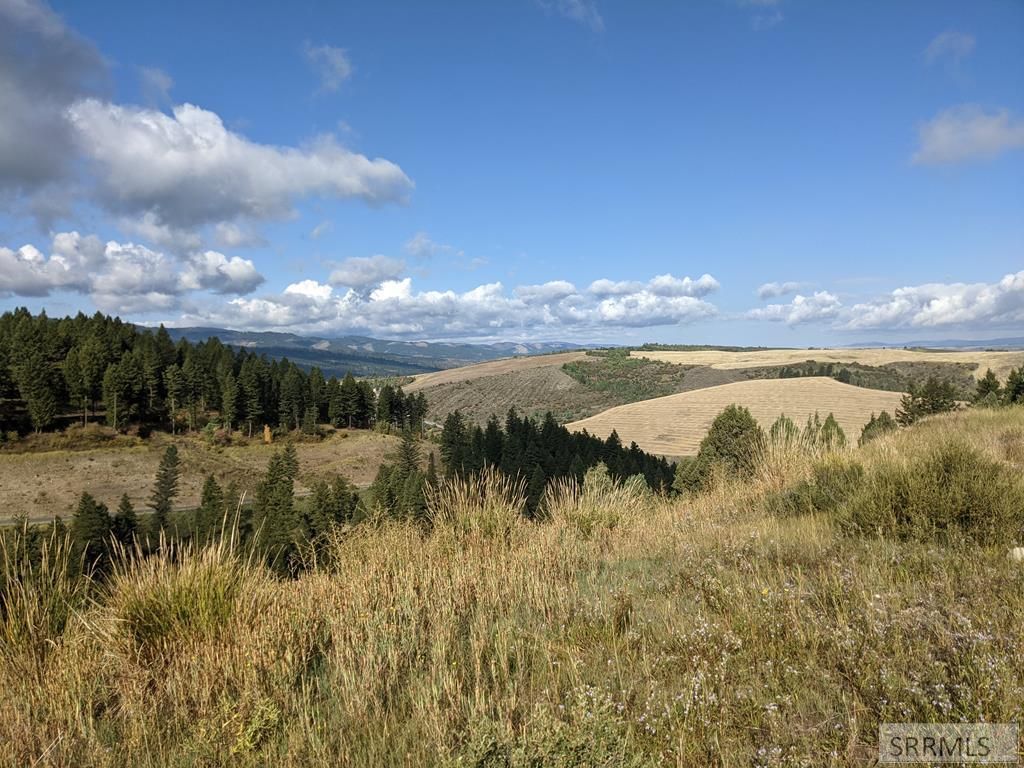 L50b4 Cutthroat Run, Irwin, ID 83428 Main Photo