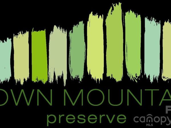 86 Bartrams Walk Drive , Asheville, NC 28804