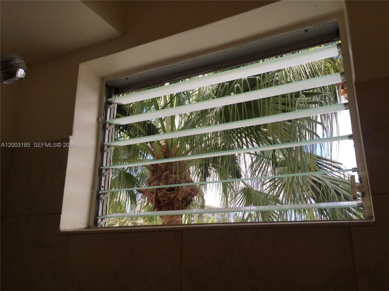 900 Euclid Ave , Unit 14, Miami Beach, FL 33139 Photo