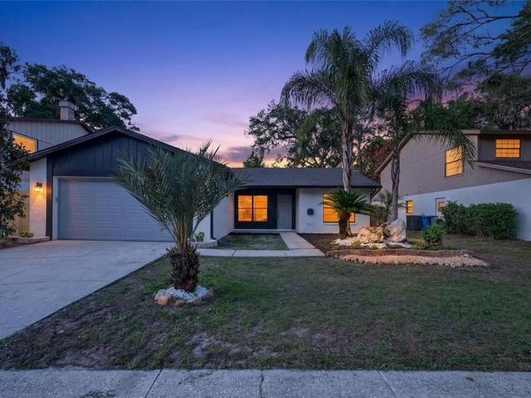 14841 OAK VINE DRIVE , LUTZ, FL 33559