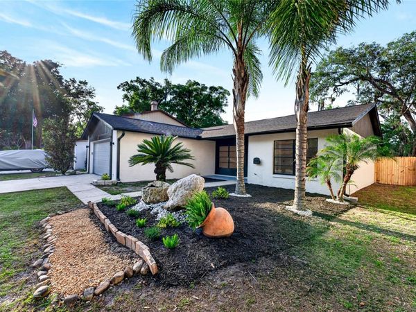 14841 OAK VINE DRIVE, LUTZ, FL 33559
