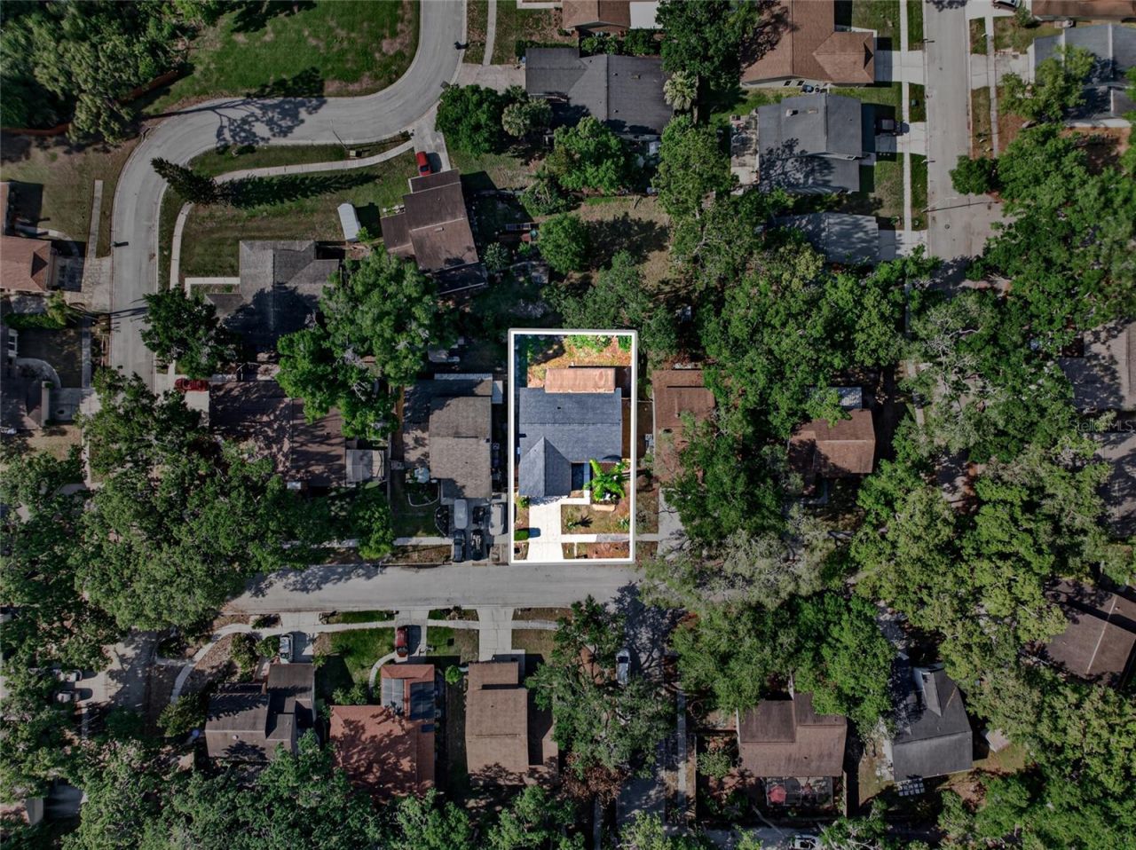 14841 Oak Vine Drive , Lutz, FL 33559 Photo