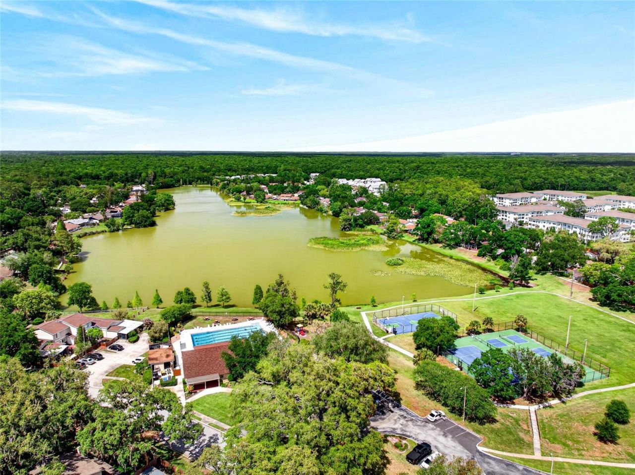 14841 Oak Vine Drive , Lutz, FL 33559 Photo