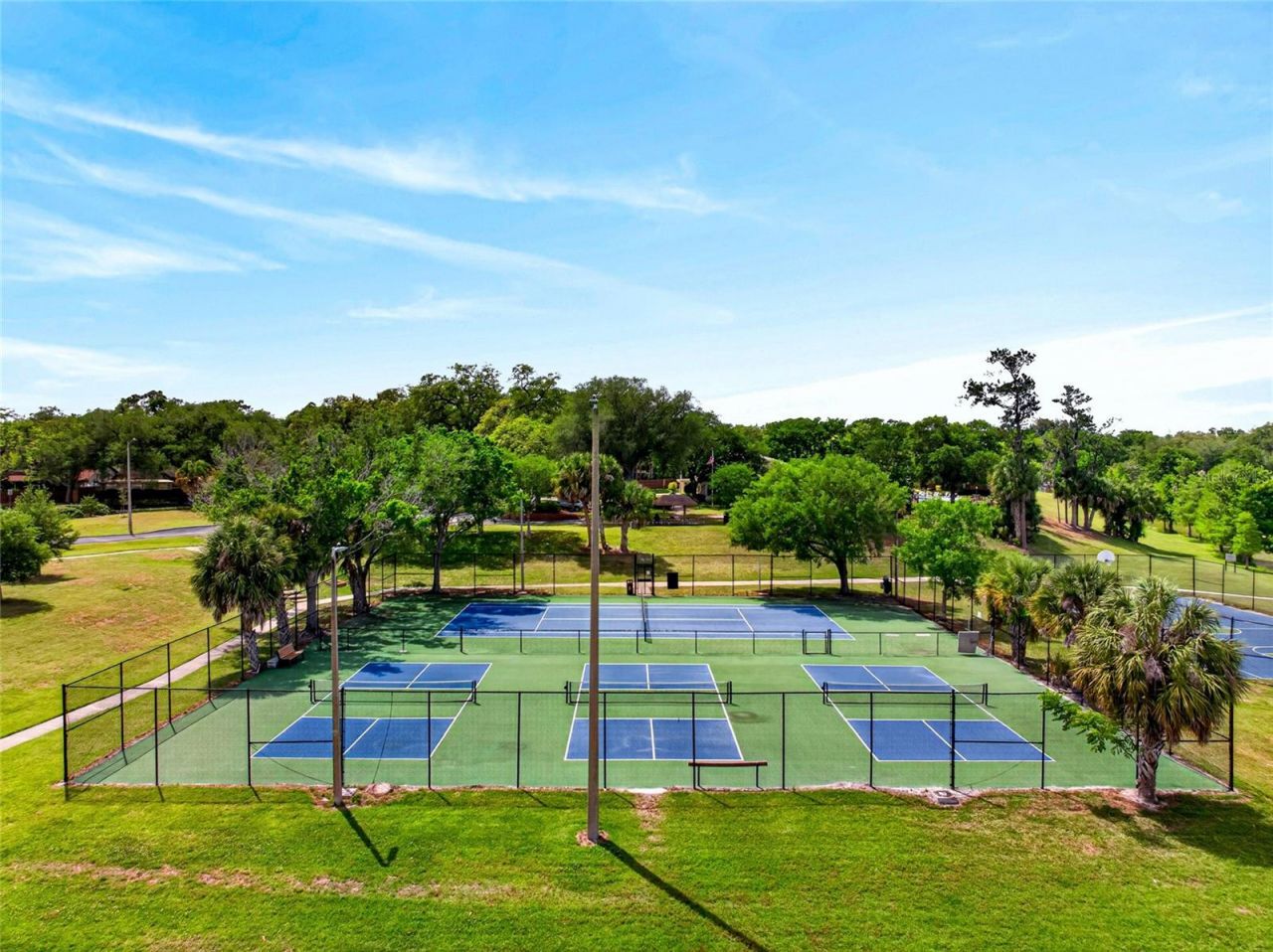 14841 Oak Vine Drive, Lutz, FL 33559 Photo