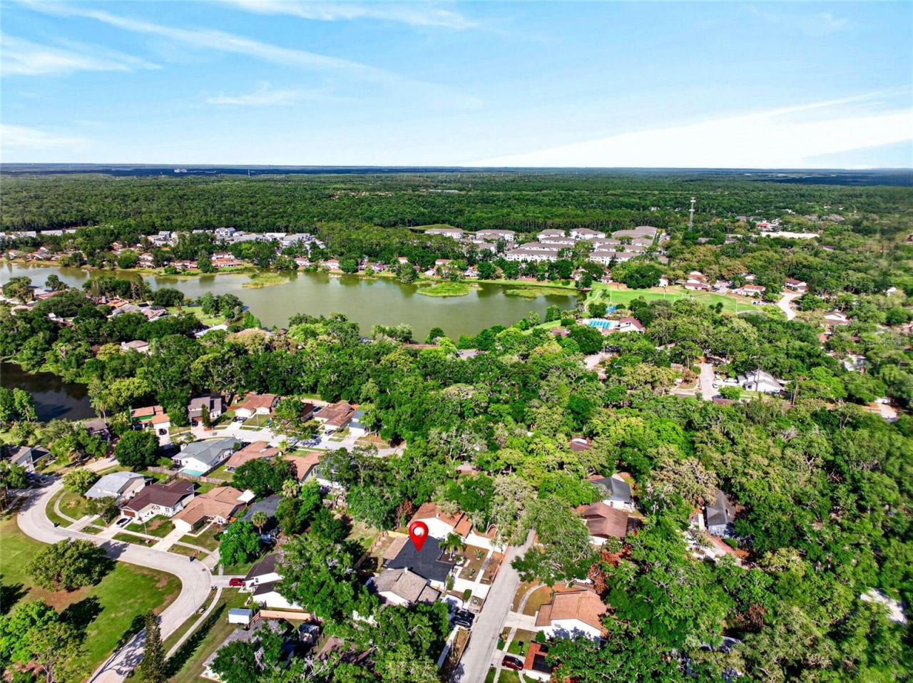 14841 Oak Vine Drive , Lutz, FL 33559 Photo