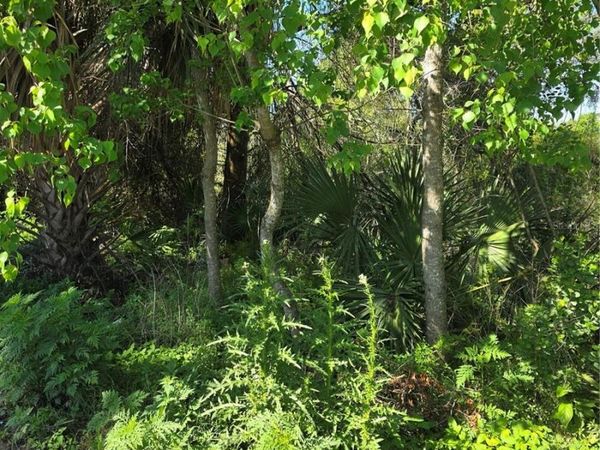 226 WALNUT AVENUE , ORANGE CITY, FL 32763