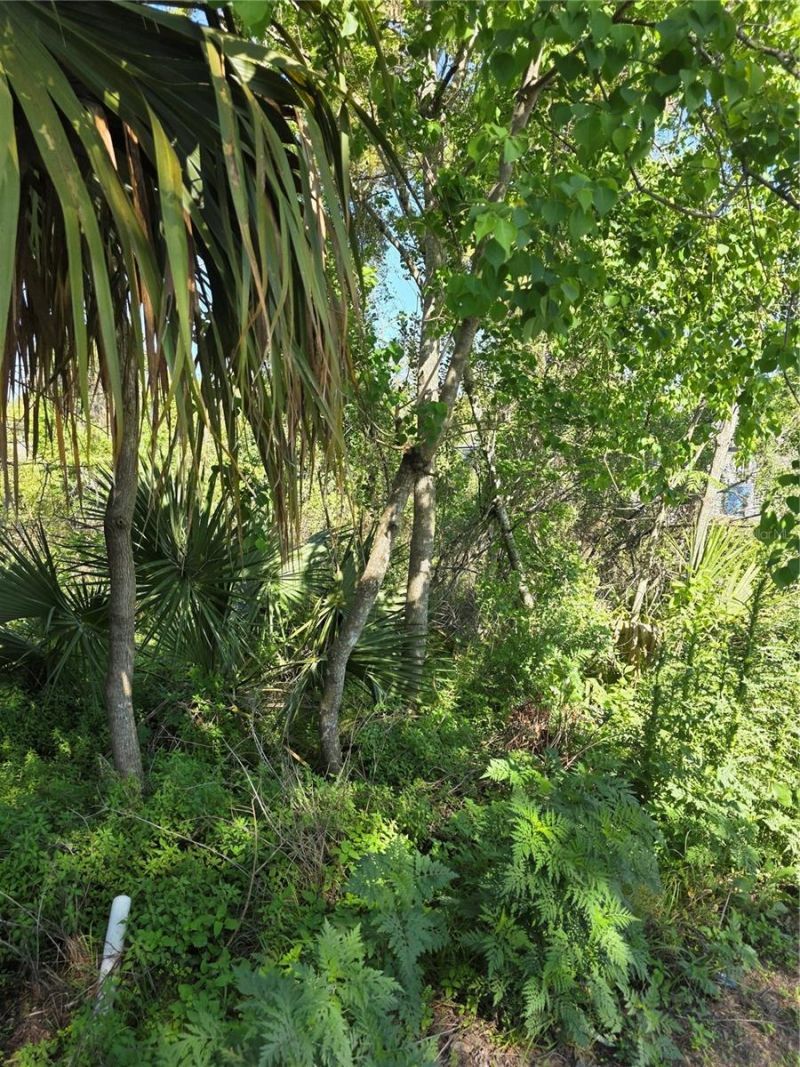 226 Walnut Avenue , Orange City, FL 32763 Photo