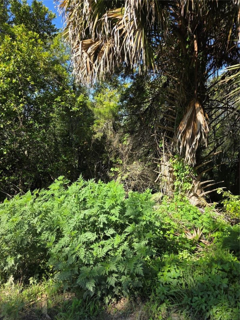 226 Walnut Avenue , Orange City, FL 32763 Photo