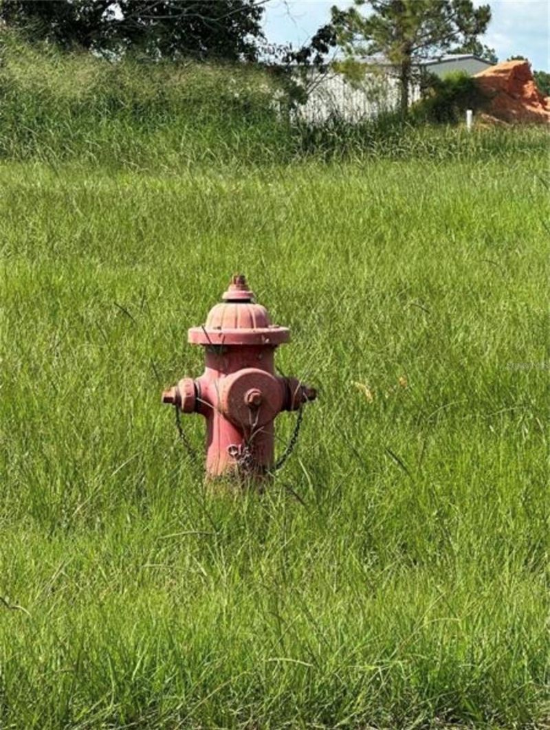 1721 Leesburg Commons Court , Leesburg, FL 34748 Photo