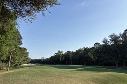 386 Green Winged Teal Road photo 4