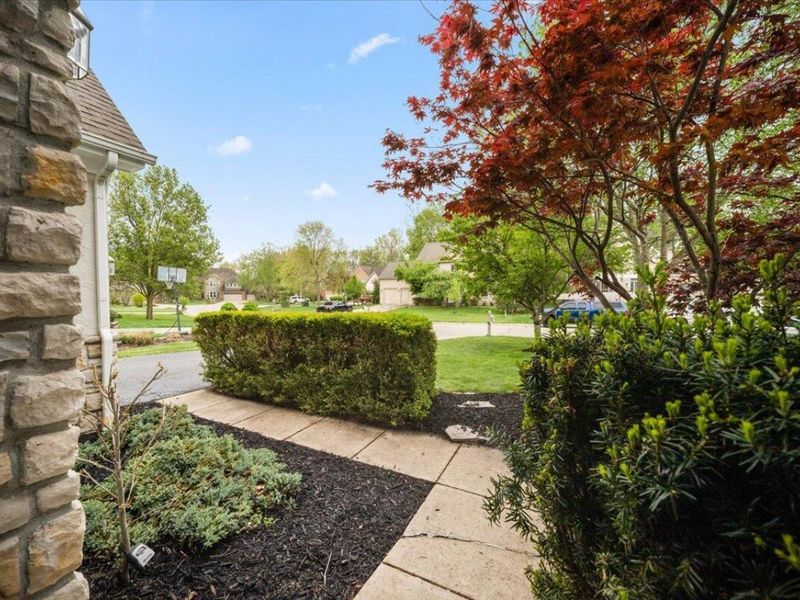 374 Rosewood Court, Powell, OH 43065 Photo 3