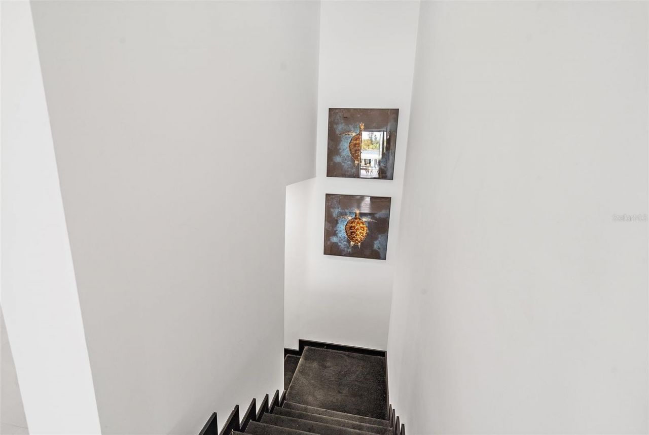 585 Dolphin Avenue Se, Saint Petersburg, FL 33705 Photo