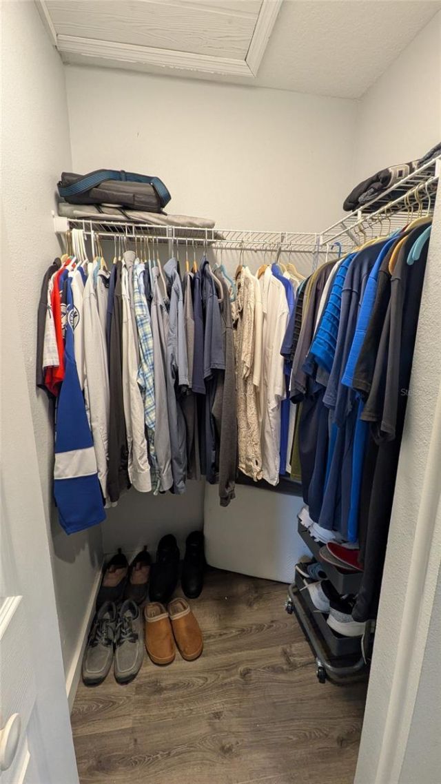 1429 Canberley Court, Trinity, FL 34655 Photo