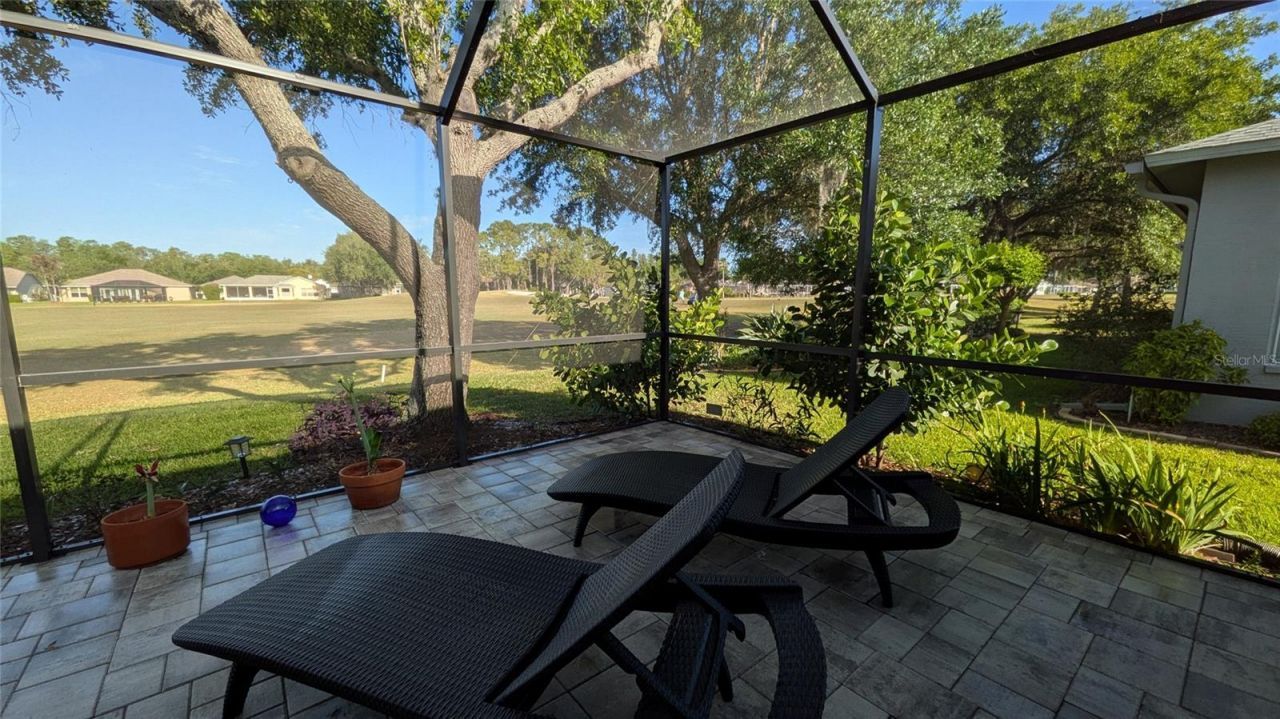 1429 Canberley Court, Trinity, FL 34655 Photo